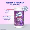 Lysol Disinfecting Wipes Bundle, Home Apartment Dorm Room Essentials and Cleaning Supplies, All Purpose Cleaner, Multi-surface Cleaning & Sanitizing Wipes, Lavender & Mango Scents, 80 Count (4pk)