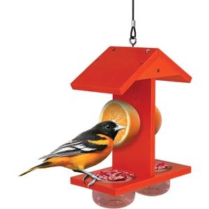 Citrus Sampler Recycled Plastic Orange & Jelly Oriole Bird Feeder for Wild Birds and Outdoor Dcor, Dual-Sided Feeding & 2 Removable Glass Dishes & Fruit Spikes, 0.4 Quart Capacity, Orange