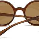 Retro Round Sunglasses for Men Womens Vintage Trendy Circle Sunglasses Costume Cosplay Sun Glasses UV400 Protection (Brown/Tea)