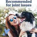 PetArmor Aspirin for Large Dogs, Fast Acting Anti-Inflammatory and Pain Relief For Dogs, Vet-Quality Joint Support and Pain Meds for Dogs, 120 Liver Flavored Tablets