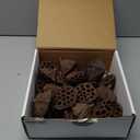 Dried Lotus Pods Pack of 25 Pods for Floral Arrangement and Home Decor,Natural Seed Heads for Vase Fillers, Dried Flower Centerpieces