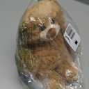 Gwxqybfe 10inch Teddy Bear Stuffed Animal, Soft Teddy Bear Plushie Toys, Birthday Christmas Valentine's Day Gifts for Kid Boys Girls (Brown)