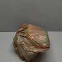 Upgraded Inflatable Dog Cone Collar with Transparent Anti-Licking Shield, Adjustable Elizabethan Collar for Medium Large Dogs, 2-in-1 Design with Detachable Shield and Soft Padding (L, Watermelon)