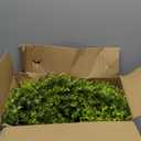 20 Inch Boxwood Front Door Wreaths, Spring and Summer Outdoor Wreath for Front Door, All Seasons Artificial Green Wreath for Farmhouse Wedding Porch Wall All Seasons Indoor Decorations