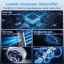 5,000 Sq.Ft 2026 Energy Star 80 Pint/Day Dehumidifier for Basement, Bedroom, Home, Bathroom, Smart Compressor Dehumidifier with Drain Hose, Intelligent Humidistat