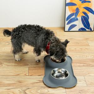 Stainless Steel Dog Bowls with Non-Slip Silicone Mat, Spill Proof Food & Water Bowls Set, Easy Clean Puppy Food Dish, Dishwasher Safe, Suitable for Dogs Cats Pet Under 20lbs, Medium, Grey (Medium-13 oz)