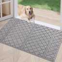 REFETONE Indoor Doormat, Front Back Door Mat 24"x36" Absorbent Rubber Backing Non Slip Door Mats, Low-Profile Resist Dirt Rugs, Machine Washable Door Rug Inside Floor Mat for Entryway, Light Grey