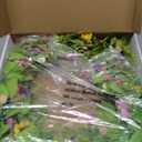Artificial 20" Spring Summer Wreath with Pansy Flower,Yellow Daisy,Rose Leaf,Eucalyptus Leaf,Fern Branch for Front Door Indoor Outdoor Farmhouse Wall Window Festival Wedding Decor,Gift Box Included