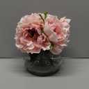 Hollyone Light Pink Peonies Artificial Flowers with Vase Faux Flowers Peony Fake Flowers Silk Flower Arrangements in Glass Vase with Faux Water for Bathroom Table Centerpiece Shelf Home Decor