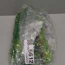 Reptile Plants, Terrarium Hanging Plant Vines Artificial Leaves Reptile Hide, Leopard Gecko Tank Accessories, Terrarium Decorations for Bearded Dragon Lizard Snake Geckos Chameleon