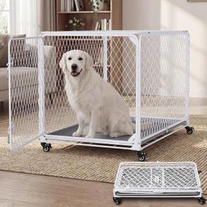 42 Inch Collapsible Dog Crate with Diamond Mesh, No-Tool Assembly Foldable Dog Kennel with 4 Lockable Wheels,Removable Tray,Portable Dog Cage for Medium/Large Dogs, Space-Saving, Indoor Outdoor Use (L - 42.5"L x 28.3"W x 28.9"H, White)