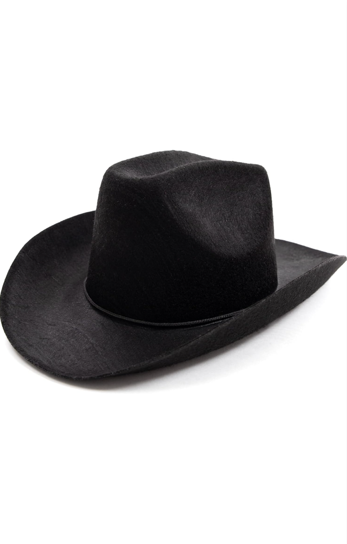 Costume Cowboy and Cowgirl Felt Hats