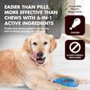 Liquid-Vet Immune Support for Dogs Antioxidant Protection & Gut Health Inulin, Beta-Glucan & Omega-3s / Fish Oil & More! - Made for Picky Eaters
