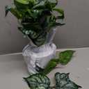 14.5" Artificial Plants Indoor Home Decor, Fake Potted Silk Plants for Shelves Living Room Decorative, Small Artificial Office Desk Plant in Pots, Faux Potted Greenery Tropical House Plant (#Green Mix White)