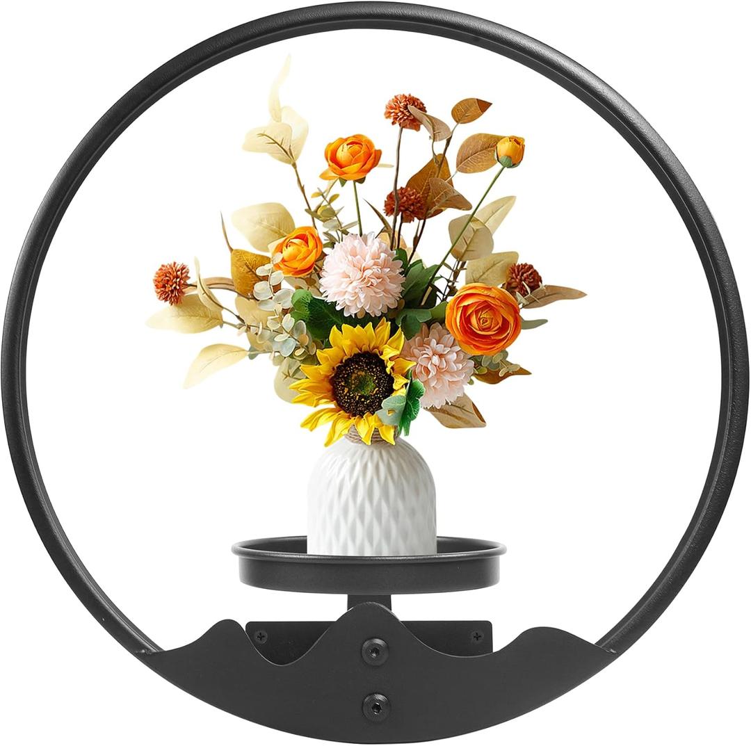 Round Picture Frame Wall Plant Holder Black Wall Hanging Planters Metal Window Plants Shelf Plant for Indoor Outdoor Garden Rockery Decoration
