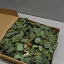 Pinkpum 20'' Eucalyptus Wreath for Front Door, Porch, Window - Green Decor for Home, Farmhouse - Spring, Summer, Fall, All Seasons