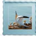 10x10 Picture Frame with Mat for 8x8, Wavy Edge Wooden Real Glass Photo Frame for Tabletop and Wall Hanging, Blue, 1 Pack