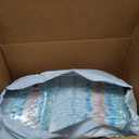 Pampers Training Pants - Easy Ups Boys & Girls Bluey - Size 4T-5T, 104 Count, Children's Potty Underwear
