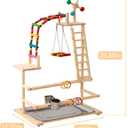 Bird Playground, Wooden Bird Play Stand with Ladder, Swing & Feeder Cups