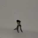 Fire-Maple FMS-300T Ultralight Titanium Backpacking Camping Gas Stove | 2600W Pocket Backpacking Cooking Folding Burner | Outdoor Trekking Hiking Fishing (Black)