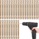 Lounsweer 30 Pcs 1/8 Inch Cobalt Drill Bits Bulk Hss M35 Metal Double End Drill Bits for Hardened Steel Wood Cast Plastic High Speed Metal Stainless Steel Bit