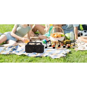 Black wireless speaker Sp-006