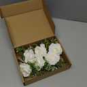Ivory Rose Boutonniere for Men Wedding Set of 6 Groom Groomsmen Best Man Artificial Flowers Boutonniere for Wedding Ceremony Anniversary Prom Flowers Formal Dinner Party (6, White, Middle)