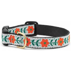 Up Country Orange You Pretty Pattern (Orange You Pretty Dog Collar, Small (9 to 15 Inches) 5/8 Inch Narrow Width)