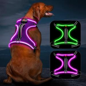 Light Up Dog Harness, No Pull LED Dog Harness with Handle, Rechargeable Lighted Safety Vest for Small Medium Large Dogs, Adjustable Soft Dog Lights for Night Walking (Purple-Pink) Large