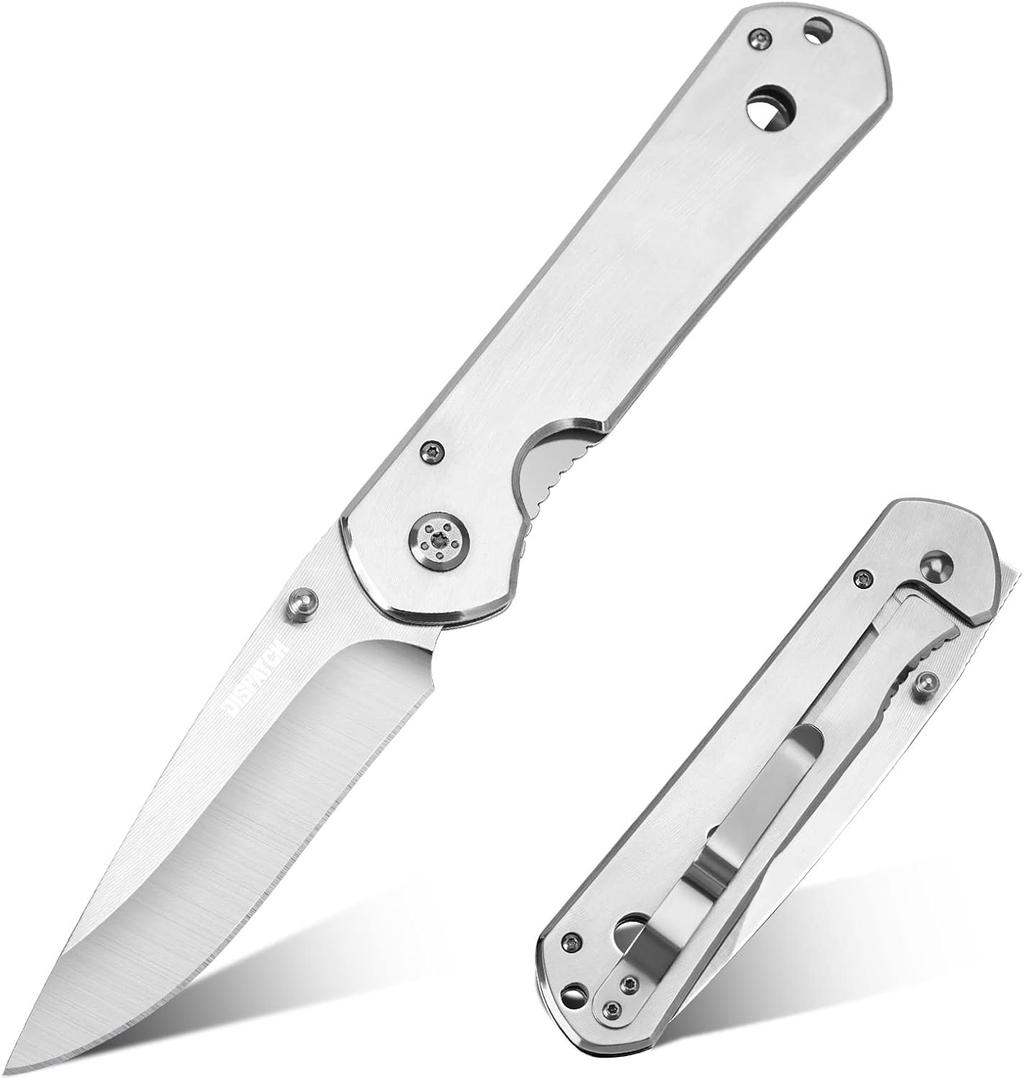 Dispatch Iris | Silver 3.9 inch Pocket Knife for Men, EDC Folding Knife for Camping Survival Hiking Outdoor with Brushed Stainless Steel Handle, Liner Lock