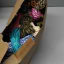 Riakrum 120 Pcs Paracord Rope 550 10 Feet Multifunction Paracord Cord Parachute DIY Bracelets Making Kit with Drawstring Bag for Christmas Making Lanyard Dog Collar Gift(Bright Colors)