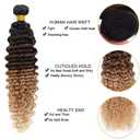 Ombre 3 Tone Brown and Honey Blonde Color Human Hair Bundles Deep Wave Bundles Brazilian Unprocessed Virgin Human Hair Quick Weave Extensions (3 Bundles 26 28 30 Inch 300g T1B/4/27 Color)