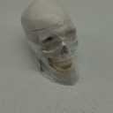 EVOTECH SCIENTIFIC Human Adult Skull Anatomical Model, Medical Quality, Life Size (9" Height) - 3 Part - Removable Skull Cap - Shows Most Major Foramen, Fossa, and Canals - for Medical Student