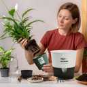 5/6.5/7.5 Inch Self Watering Pots for Indoor/Outdoor ,4 Pack plastic Planters for Indoor Plants with Drainage Holes and Saucers, Modern Decorative Flower Pot for Plants (White, 6.5-Inch, 4-Pack)