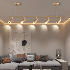 5-Light LED Track Lighting Kit Gold Track Light Flexibly Rotatable Light Head Modern Spot Lighting for Kitchen Living Room Dining Room Bedroom Closet Bar