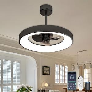 Ceiling Fans with Lights and Remote, 24 inch Low Profile Ceiling Fan with Light, 3 Blades, 6 Speeds, 3 Color Temperature, DC Reversible Motor for Bedroom, Living Room (Matte Black)