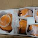 Set of 5 Ceramic Pumpkin Bowls, Pumpkin-Shaped Soup Serving Pot Storage Jar with Lid and Spoon for Baking, Fall, Thanksgiving, Halloween Party, Kitchen, Dessert, Decoration, 17 Oz & 54 Oz