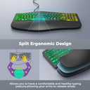 MEETION Ergonomic Keyboard Wired, 7 Colors Transparent Backlit, 4 Brightness, 1 RGB Breathing Backlit, Comfortable Wrist Rest Cushion, USB-A/USB-C Adapter Ergo Keyboard for Windows Mac Computer Laptop