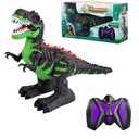 Remote Control Dinosaur Toy, Walking T-Rex with Lights and Sounds, Black and Green, RC Toy for Kids