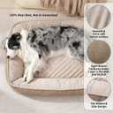 FAIRYPET Deluxe Plush Dog Beds for Medium to Large Dogs, 3D Crimped Siliconized Hollow Fiber Fill，Soft Breathable，Washable Dog Bed, Plush Faux Fur & Corduroy,Durable Pet Bed with Anti-Slip Bottom,  36"l x 27"w x 6"th