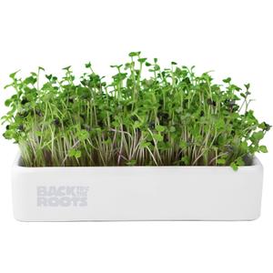 Back to The Roots Organic Microgreens Grow Kit with Ceramic Planter, Expandable Soil, Organic Seeds, and Germination Lid