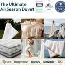 Vesta All-Season Silk Comforter, Quilt and Duvet Insert for Hot Sleepers, 100% Silk Fill with 100% Cotton Shell, Luxuriously Soft, Moisture-Wicking, King Size (Grey, Silk Weight: 3.7lbs), King/Cali King