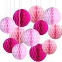 CC wonderland zone 12pcs Pink Paper Honeycomb Balls,Hanging Tissue Pom poms for Baby Shower Wedding Valentine's Day Engagement Birthday Party Decorations