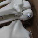 5.4FT Halloween Skeleton,Simulation Resin Skull Prop,Model Fake Skeleton Prop Life,Plastic Human Bones Sculpture for Halloween Props Spooky Party Decoration 170cm