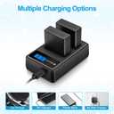 2 Pack DMW-BLG10 Battery 1500mAh and Dual USB Charger for Panasonic DC-G100, DC-ZS80, DC-GX9, DC-LX100 II, DC-ZS200, DC-ZS70, DMC-GX80, DMC-GX85, DMC-ZS60, DMC-ZS100, DMC-GF6, DMC-GX7K, DMC-LX100K