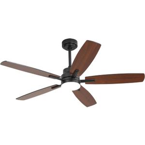 Ceiling Fans with Lights and Remote - 52 Inch Flush Mount Ceiling Fan with Noiseless Reversible DC Motor Timer LED Ceiling Fan for Bedroom Living Room Dining Room, Black