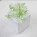 Lakkity 12Pcs Bows for Gift Wrapping, 6 Inch Curly Ribbon Bows, Self Adhesive Burst Gift Bow for Presents,Paper Bag, Baby Shower Favors, Wrapping Accessories, Wedding Decor((Apple green)