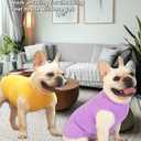 Dog Plain Shirts,Solid Dogs Clothes,Lightweight Stretchy Doggy Tee Shirt,Sleeveless Blank Puppy Chihuahua Cats Samll Costumes,Yellow & Purple S