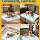 50-Pack Extra Large Pee Pads - 34" x 28" Puppy Pads for Dogs with 6-Layer Leakproof Protection, Disposable and Quick-Dry Dog Pads with High Absorbency for Easy Potty Training