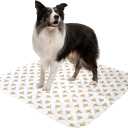 PoochPad Original Washable, Reusable Potty Pad (Large, Pack of 2) - Unmatched Odor Control, Leakproof Puppy Training Pee Pad